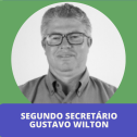 SEGUNDO SECRETÁRIO DA CÂMARA - GUSTAVO WILTON 